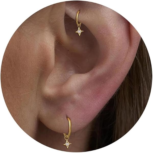 Amazon.com: Pierced Pretty 316L Surgical Steel Hoop Earring